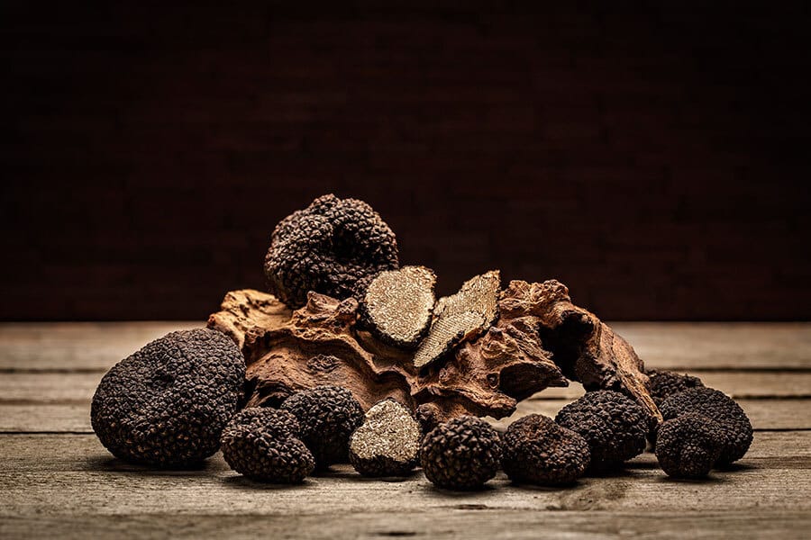 TRUFFLE HUNTING