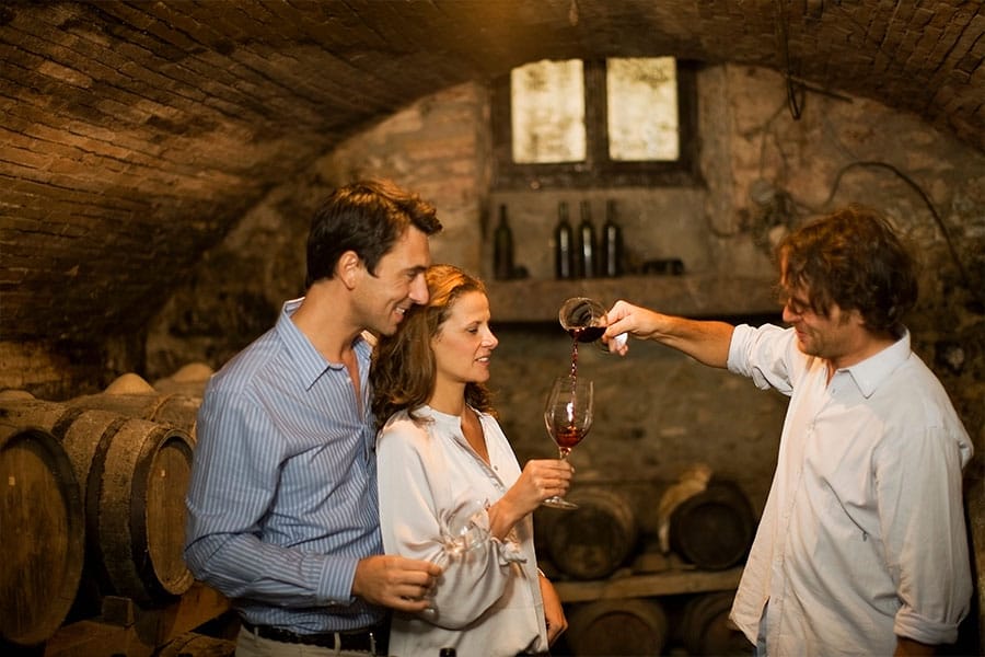 WINE TOURS